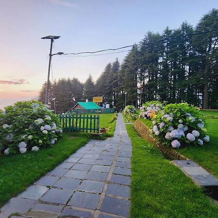 Forest Vibes Kalatop-Rooms And Restaurant Далхаузи Экстерьер фото