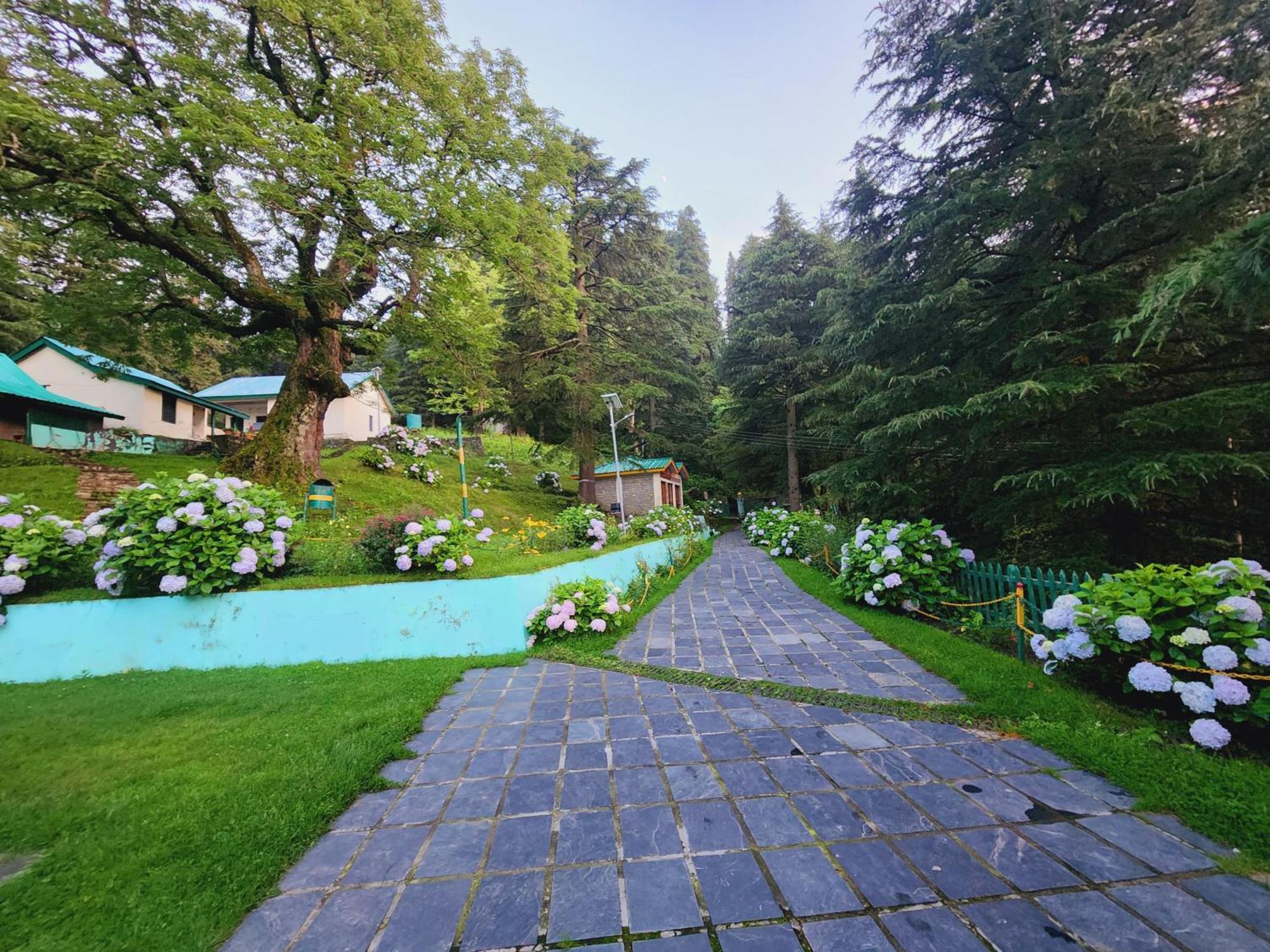Forest Vibes Kalatop-Rooms And Restaurant Далхаузи Экстерьер фото
