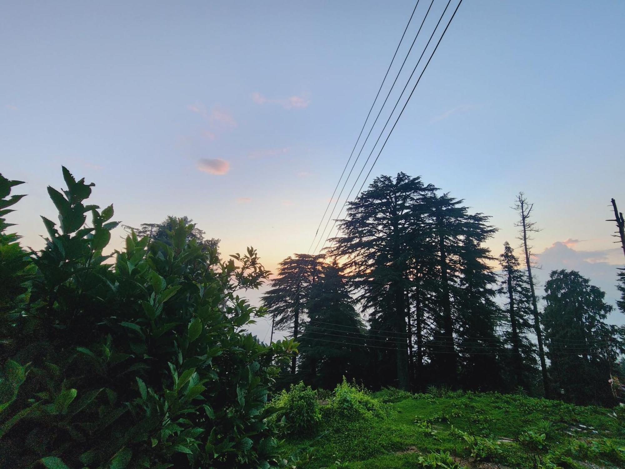 Forest Vibes Kalatop-Rooms And Restaurant Далхаузи Экстерьер фото