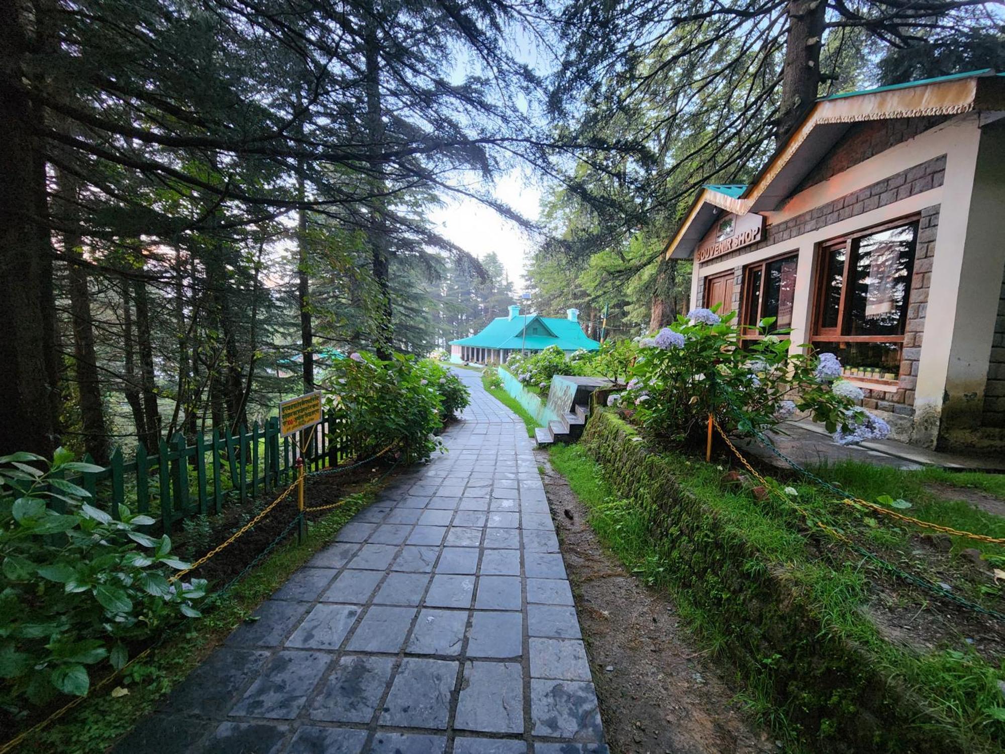 Forest Vibes Kalatop-Rooms And Restaurant Далхаузи Экстерьер фото
