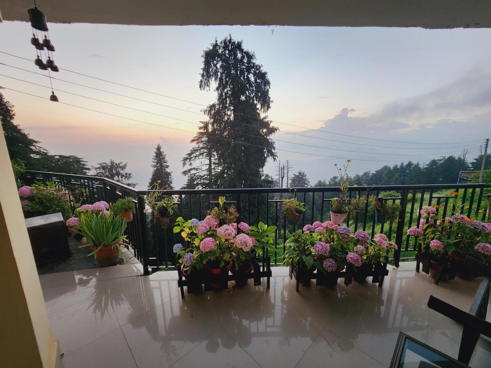 Forest Vibes Kalatop-Rooms And Restaurant Далхаузи Экстерьер фото